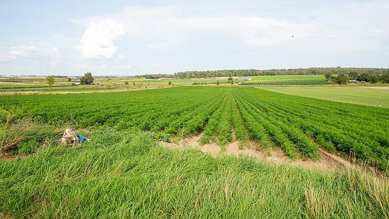 Salat, Gemüse, Spargel: Auf der Gartenlandtour kann man sehen, wo die Produkte wachsen, für die der Landkreis bekannt ist. Salat, Gemüse, Spargel: Auf der Gartenlandtour kann man sehen, wo die Produkte wachsen, für die der Landkreis bekannt ist.
