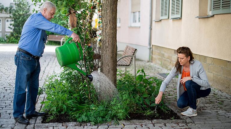 Schweinfurter Baumpaten bei der Arbeit: Gerhard Witzleben und Baumpatin Erani Schabel vom Bürgerverein Zürch pflegen die Bäume in ihrer Umgebung. Das Bild entstand im Jahr 2022.