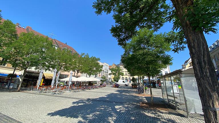 Am nördlichen Ende des Schweinfurter Marktplatzes gibt es bereits eine Reihe von Bäumen. Am nördlichen Ende des Schweinfurter Marktplatzes gibt es bereits eine Reihe von Bäumen.