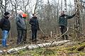 Beim Ortstermin im Hörnauer Wald wurden die erklärt, wie der Holzeinschlag ablief. Im Bild (von links) Bürgermeister Herbert Fröhlich, Herbert Heger, Michael Schwindl vom AELF Schweinfurt, Philipp Keller, Leiter der Unteren Naturschutzbehörde, und Stephan Thierfelder, Bereichsleiter Forsten beim AELF.