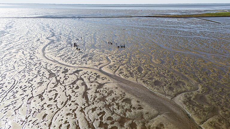 Wattenmeer in Schleswig-Holstein       -  Das Meerwasser im Watt erwärmt sich besonders schnell. (Archivbild)