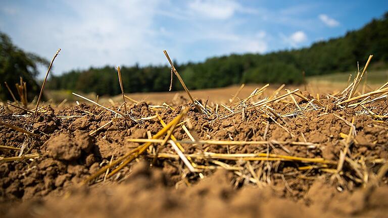 Vertrocknete Erde       -  Kein gutes Jahr für die Landwirtschaft: Viele Böden sind, so wie dieser, vertrocknet. Die Ernteausfälle sind enorm.