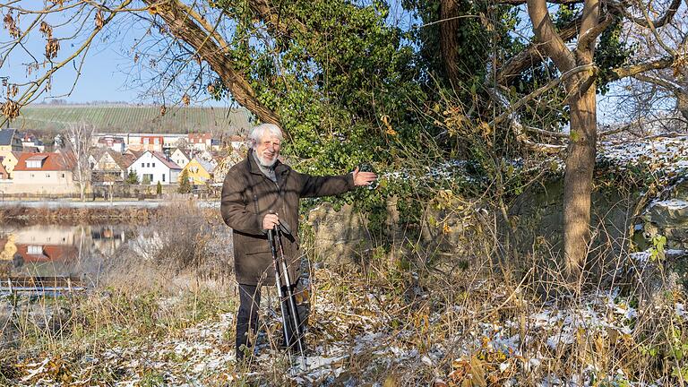 Bis 1954 war zwischen Frickenhausen und der anderen Mainseite eine Fähre aktiv. Versteckt zwischen Büschen finden sich linksmainisch Überreste des Fährhauses. Bis 1954 war zwischen Frickenhausen und der anderen Mainseite eine Fähre aktiv. Versteckt zwischen Büschen finden sich linksmainisch Überreste des Fährhauses.