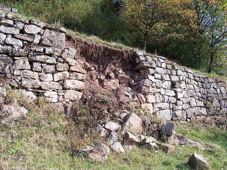 Zahlreiche Teile der uralten Weinbergsmauern sind seit der Aufgabe der Weinberge eingefallen.