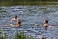 Das Baden im Main in Würzburg kann bei den aktuell hohen Temperaturen erfrischend sein, aber auch gefährlich.