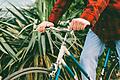 Riding a bike       -  Fast 70 Prozent der Deutschen besitzen mindestens ein Fahrrad.Foto: Thinkstock
