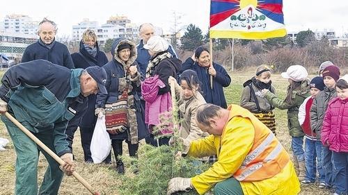 Die Schülerin Milena Langner (Mitte) pflanzt mit Mitarbeitern des städtischen Gartenamts eine Himalaya-Zeder in der „Allee der Nationen“ nahe der Gethsemane-Kirche. Im Hintergrund (von links): Grundschulleiter Leonhard Blaum, Eva-Maria Barklind-Schwander, Eva Kuczewski-Anderson, Klemens Ludwig, Anya Adelmann und Lenchan Thakori. Die Schülerin Milena Langner (Mitte) pflanzt mit Mitarbeitern des städtischen Gartenamts eine Himalaya-Zeder in der „Allee der Nationen“ nahe der Gethsemane-Kirche. Im Hintergrund (von links): Grundschulleiter Leonhard Blaum, Eva-Maria Barklind-Schwander, Eva Kuczewski-Anderson, Klemens Ludwig, Anya Adelmann und Lenchan Thakori.