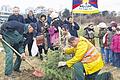 Die Schülerin Milena Langner (Mitte) pflanzt mit Mitarbeitern des städtischen Gartenamts eine Himalaya-Zeder in der &bdquo;Allee der Nationen&ldquo; nahe der Gethsemane-Kirche. Im Hintergrund (von links): Grundschulleiter Leonhard Blaum, Eva-Maria Barklind-Schwander, Eva Kuczewski-Anderson, Klemens Ludwig, Anya Adelmann und Lenchan Thakori.