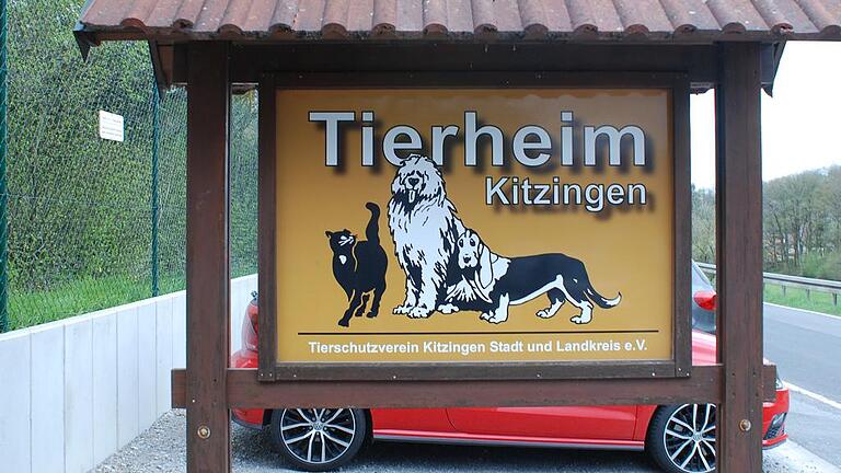 Das Kitzinger Tierheim ist in seiner Existenz durch Senkungen bedroht, seit die darunter liegenden ehemaligen Kalksteingruben nachgeben. Die Stadt Kitzingen prüft derzeit, ob es geeignete Grundstücke für einen möglichen Neubau an anderer Stelle gibt. Das Kitzinger Tierheim ist in seiner Existenz durch Senkungen bedroht, seit die darunter liegenden ehemaligen Kalksteingruben nachgeben. Die Stadt Kitzingen prüft derzeit, ob es geeignete Grundstücke für einen möglichen Neubau an anderer Stelle gibt.