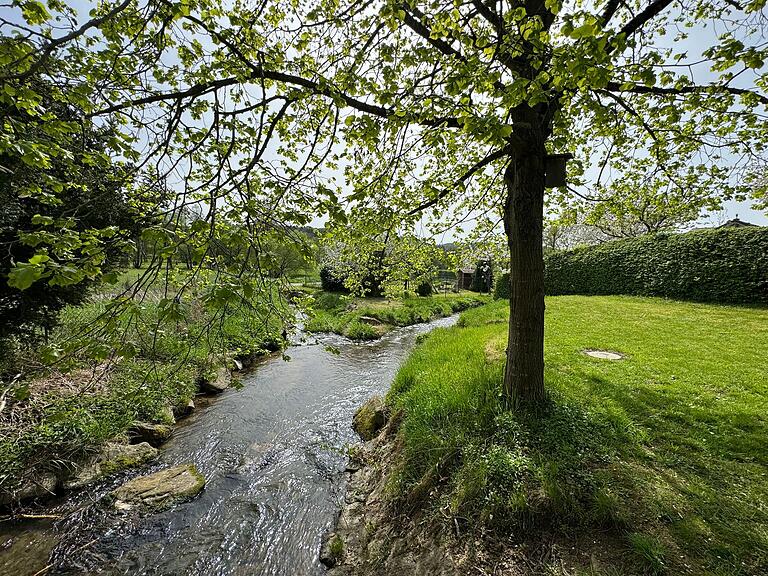 Am Mühlgraben gibt es Schatten, das Wasser rauscht. Und eine Schautafel erklärt die historische Mühlenlandschaft von Thulba. Am Mühlgraben gibt es Schatten, das Wasser rauscht. Und eine Schautafel erklärt die historische Mühlenlandschaft von Thulba.