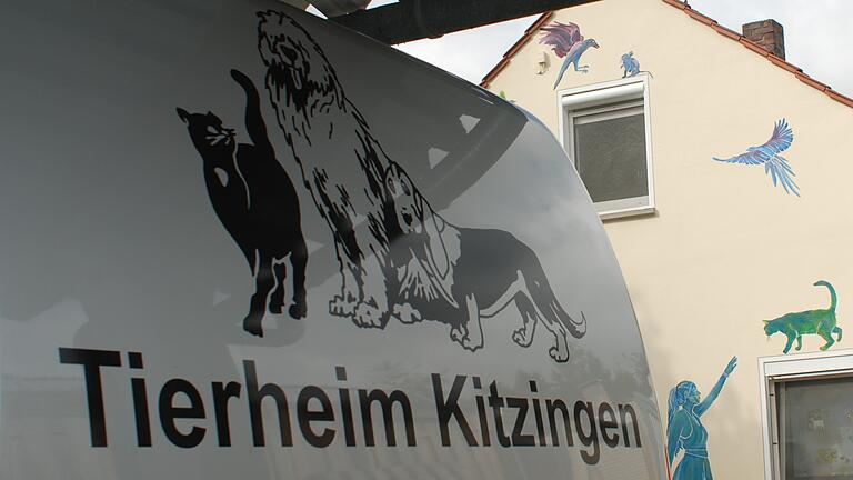 Die Tage des Kitzinger Tierheims sind gezählt – ein Neubau muss dringend her.