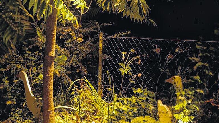 Gartenzauber: Licht gab bei Nacht ein besonderes Ambiente.