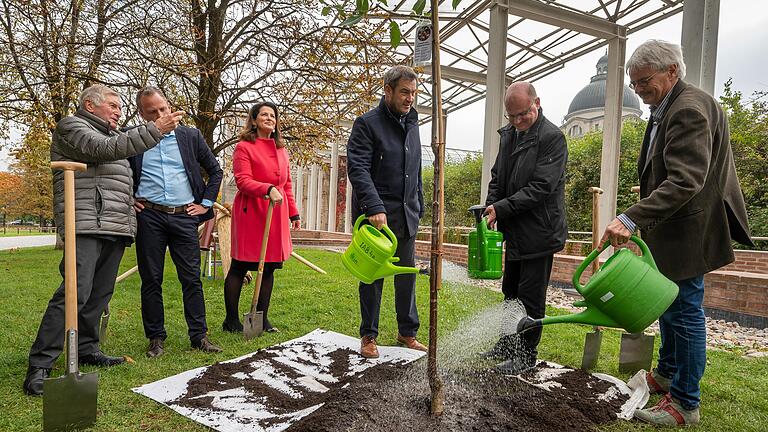 Wollen Bayerns Streuobstwiesen retten (von links): Alois Glück, Landtagspräsident a.D. (CSU), Umweltminister Thorsten Glauber (Freie Wähler), Landwirtschaftsministerin Michaela Kaniber (CSU), Ministerpräsident Markus Söder (CSU), Norbert Schäffer vom Landesbund für Vogelschutz und Richard Mergner vom BUND Naturschutz pflanzen in München einen Kirschbaum. Wollen Bayerns Streuobstwiesen retten (von links): Alois Glück, Landtagspräsident a.D. (CSU), Umweltminister Thorsten Glauber (Freie Wähler), Landwirtschaftsministerin Michaela Kaniber (CSU), Ministerpräsident Markus Söder (CSU), Norbert Schäffer vom Landesbund für Vogelschutz und Richard Mergner vom BUND Naturschutz pflanzen in München einen Kirschbaum.