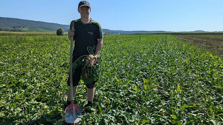 Moritz Wolf, der auf dem Hof von Landwirt Markus Weissenseel in Traustadt mithilft, zeigt eine der in diesem Jahr prächtig gewachsenen Zuckerrüben.