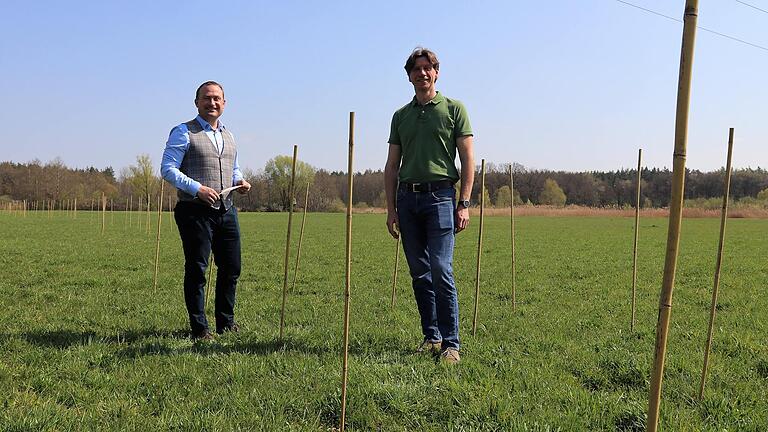 Einfach, aber hoffentlich effektiv: Die 400 Ansitzwarte für die Wiederansiedlung von Braunkehlchen im Grafenrheinfelder Naturschutzgebiet. Im Bild Bürgermeister Christian Keller und Udo Baake vom Kreisverband des LBV.