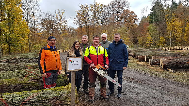 Roland Braun vom Forstbetrieb Schonungen, Milena Hammer (Kämmerei), Forsttechniker Thomas Helmschrott, Lukas Zier, Revierförster Rainer Seufert und Bürgermeister Stefan Rottmann (von links) am Wertholzplatz in Sailershausen.