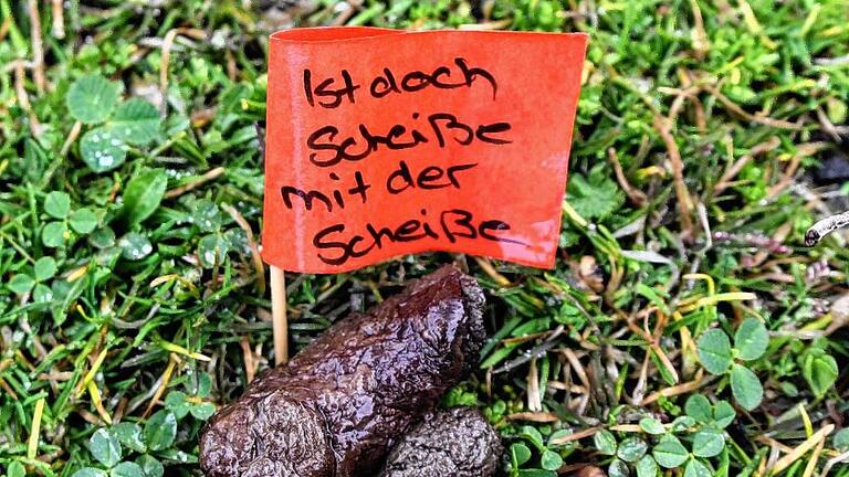 Zu einer ungewöhnlichen Protestaktion entschließt sich ein Unbekannter in Karlstadt: Er markiert die Hundehaufen in der Jahnanlage mit gelben und roten Fähnchen. Darauf sind markante Sprüche zu lesen wie „Keine Schokolade“, „Haufen sucht Frauchen“ oder „Ist doch Scheiße mit der Scheiße“. Die Aktion sorgt für Gesprächsstoff, wirklich erfolgreich ist sie jedoch nicht. „Tretminen“ gibt es in der Jahnanlage nach wie vor. Zu einer ungewöhnlichen Protestaktion entschließt sich ein Unbekannter in Karlstadt: Er markiert die Hundehaufen in der Jahnanlage mit gelben und roten Fähnchen. Darauf sind markante Sprüche zu lesen wie „Keine Schokolade“, „Haufen sucht Frauchen“ oder „Ist doch Scheiße mit der Scheiße“. Die Aktion sorgt für Gesprächsstoff, wirklich erfolgreich ist sie jedoch nicht. „Tretminen“ gibt es in der Jahnanlage nach wie vor.
