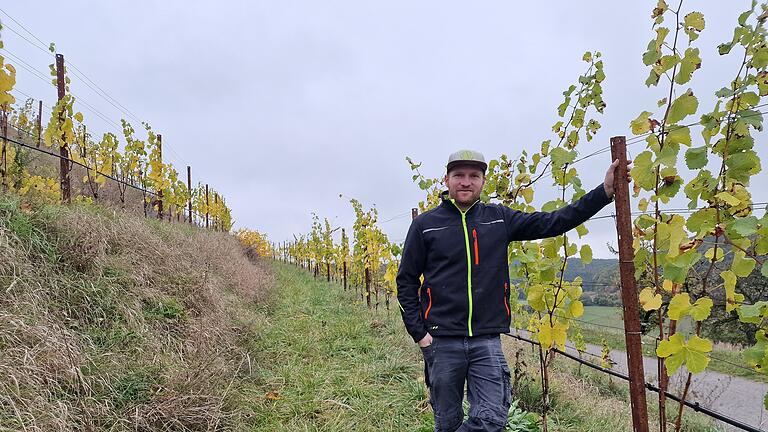 Lorenz Neder im querterrassierten Weinberg       -  Lorenz Neder im querterrassierten Weinberg