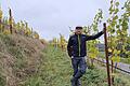 Lorenz Neder im querterrassierten Weinberg       -  Lorenz Neder im querterrassierten Weinberg