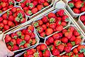 Das Saisonende für Erdbeeren naht. Die Produzenten erlebten ein normales Jahr – Absatzprobleme wie beim Spargel gab es nicht.