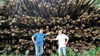 Ausgesorgt: Mit diesem mächtigen Holzstoß       -  Ausgesorgt: Mit diesem mächtigen Holzstoß lässt sich die Hackschnitzel-Heizung von Thomas Riedmann (links, rechts Gerald Schäfer) anderthalb Jahre betreiben.