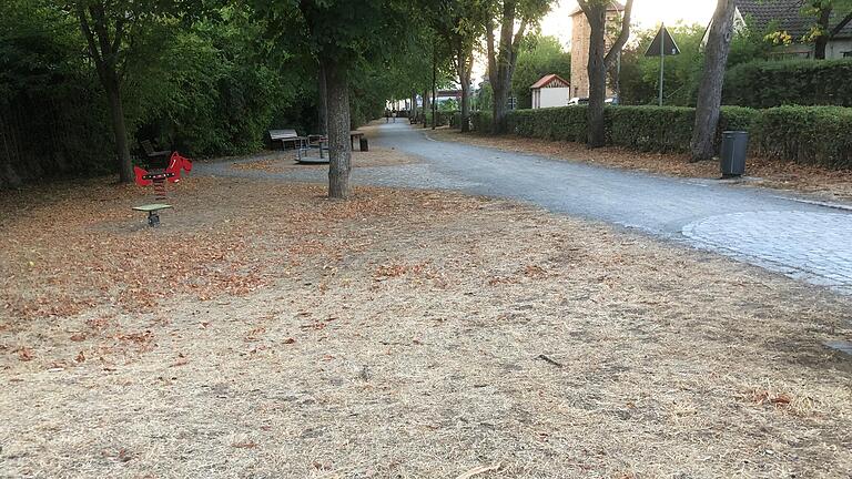 Die Folgen der Trockenheit: Die sonst grüne Grasfläche in der Östlichen Allee in Gerolzhofen hat sich in ein graues Etwas verwandelt. Die Folgen der Trockenheit: Die sonst grüne Grasfläche in der Östlichen Allee in Gerolzhofen hat sich in ein graues Etwas verwandelt.