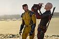 Kinostart - 'Deadpool & Wolverine'       -  Auch ein Hund spielt eine wichtige Rolle in &bdquo;Deadpool & Wolverine&rdquo;.