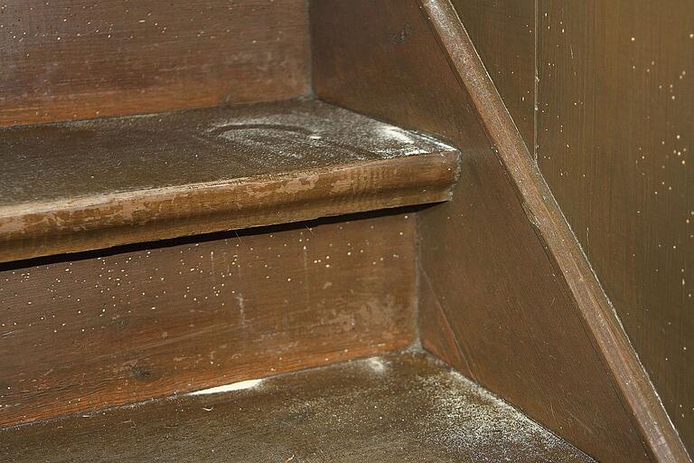 An der Holztreppe zur Empore sieht man ganz deutlich die intensive Arbeit des Holzwurms mit Löchern und dem Bohrmehl. An der Holztreppe zur Empore sieht man ganz deutlich die intensive Arbeit des Holzwurms mit Löchern und dem Bohrmehl.