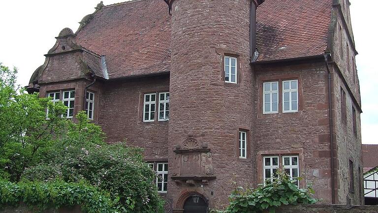 Wildwuchs: Das Schlösschen, bevor die neuen Besitzer die wuchernden Bäume und Büsche stutzen ließen.