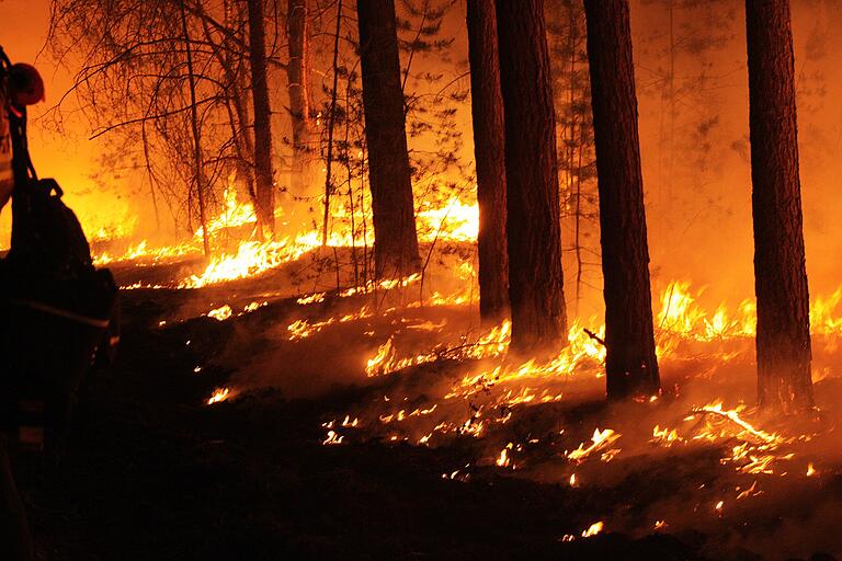 Lebensgefahr für die Feuerwehrleute: Immer wieder stürzt im Feuer krachend ein Baum um.