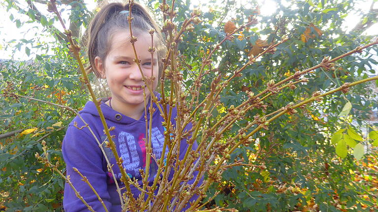 Die zum Namenstag der Heiligen Barbara geschnittenen Forsythienzweige die Anna in der Hand hält

werden im Haus ihre Blüten öffnen