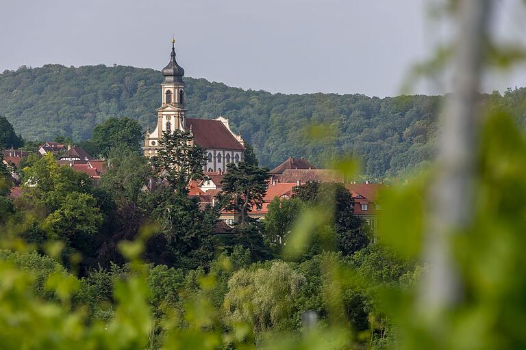 Von den Weinbergen aus hat man einen prächtigen Ausblick über den Weinort Castell.