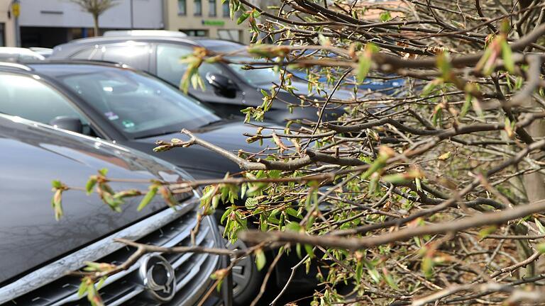 Das Amtsgericht Haßfurt beschäftigte sich vor kurzem um einen Nachbarschaftsstreit. Grund war ein Parkplatz.