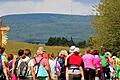 Die Vorstandschaft der Bruderschaft zum Heiligen Kreuz Würzburg hat als Veranstalter entschieden im August statt der gewohnten Pilgerreise in Gruppen (im Bild) eine alternative, außergewöhnliche Form der Wallfahrt anzubieten.&nbsp;