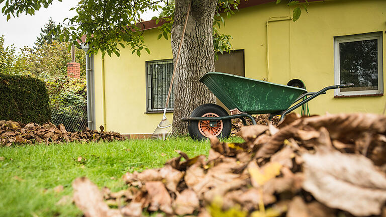 Insekt sucht Winterlager: So helfen Gärtner Tieren im Herbst.jpeg       -  Den eigenen Garten oder Ausflüge ins Grüne meiden viele Menschen mit Arachnophobie - aus Angst, einer Spinne zu begegnen. Das bringt enorme Einschränkungen im Alltag mit sich.