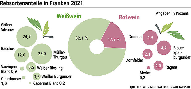 Gibt es ohne Wasser keinen trockenen Wein mehr? Wie der Klimawandel den Weinbau in Franken verändern wird