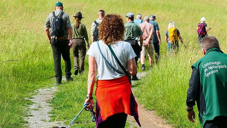 Gemeinsam wanderten die Naturparkführer:innen bei ihrem Treffen auf der Spessartspur „Lohrhaupter Widdehuh“.