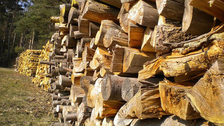 Mächtig viel Holz musste im vergangenen Jahr im Wollbacher Wald aufgrund der Trockenheit und der Borkenkäferplage geschlagen werden. Der tatsächliche Holzeinschlag betrug das Doppelte der ursprünglichen Planung.