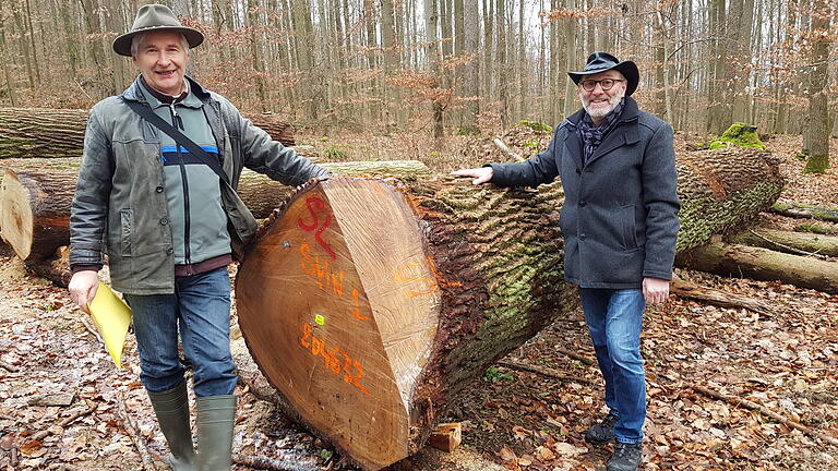 Der teuerste Baum, der jemals im Schallfelder Wald gefällt wurde, die sogenannte 'Braut des Waldes' erzielte in der jüngsten Wertholzsubmission in Sailershausen einen Gesamtpreis von 3157 Euro.