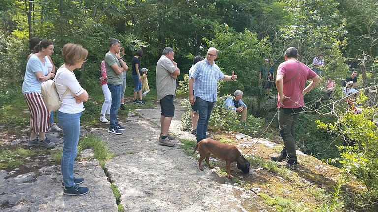 Geologe Volker Riemann erklärt beim Info-Rundgang 'gegen einen neuen Steinbruch' in Lindelbach die Gesteinsformationen.