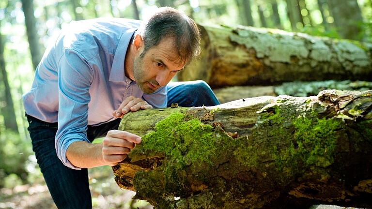 Jörg Müller, stellvertretender Leiter des Nationalparks Bayerischer Wald und Professor am Lehrstuhl für Tierökologie und Tropenbiologie an der Universität Würzburg, Jörg Müller, stellvertretender Leiter des Nationalparks Bayerischer Wald und Professor am Lehrstuhl für Tierökologie und Tropenbiologie an der Universität Würzburg,