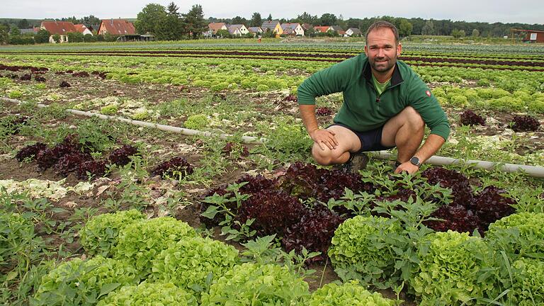 Gärtnerobermeister Christian Gräbner im vergangenen Jahr auf dem Salatfeld in Etwashausen.