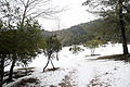 Schnee auf Mallorca       -  Auf Mallorca hat es in den vergangenen Tagen geschneit.