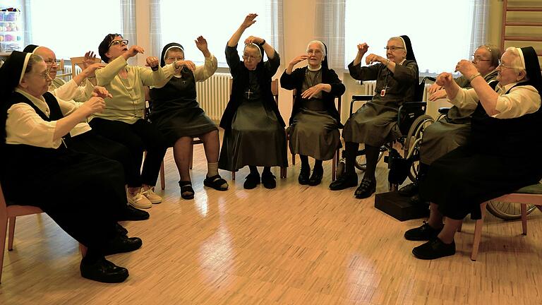 Hoch auf die Leiter geht es für die Erlöserschwestern beim Tanzen im Sitzen und der Choreografie von Tanzleiterin Marianne Mann (Dritte von links)