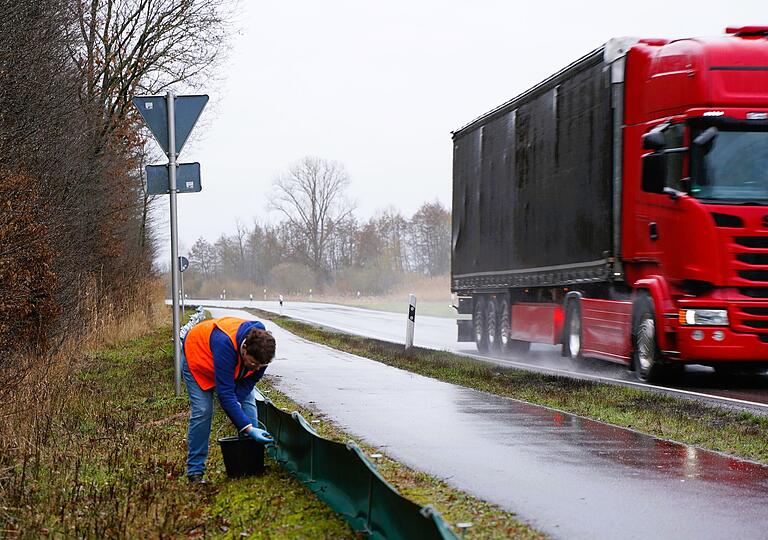 Immer wieder sausen Lkw recht schnell vorbei, wenn die Amphibienrettenden im Einsatz sind. In Gochsheim liegt zumindest ein Fahrradweg zwischen Straße und Krötenzaun.