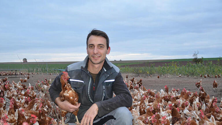 Die Hühner auf dem Vogler Hof werden zum Teil auch im Freiland gehalten. Hier ist Tier- und Landwirtschaftsmeister Frank Vogler mitten in einer Freilandanlage, bei der die Tiere viel Auslauf haben. Bei diesen Hühnern handelt es sich um eine spezielle Versuchsherde. Fotos: Kathrin Kupka-Hahn       -  Die Hühner auf dem Vogler Hof werden zum Teil auch im Freiland gehalten. Hier ist Tier- und Landwirtschaftsmeister Frank Vogler mitten in einer Freilandanlage, bei der die Tiere viel Auslauf haben. Bei diesen Hühnern handelt es sich um eine spezielle Versuchsherde. Fotos: Kathrin Kupka-Hahn