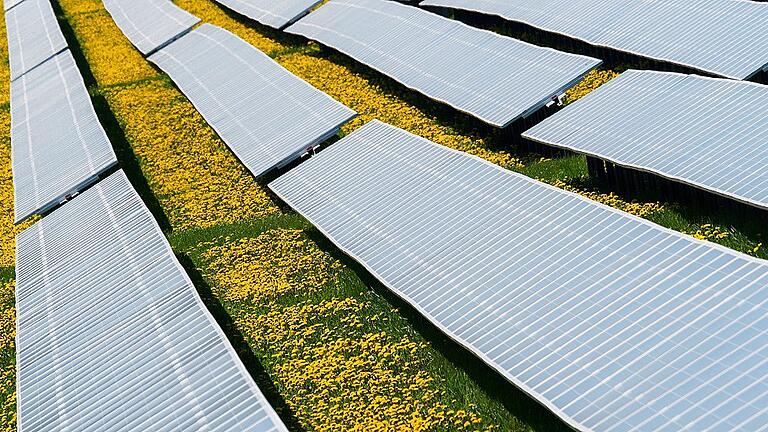 Photovoltaik-Anlage       -  Zwischen den Modulen sollen Schafe auf wertvollen Kräuterwiesen weiden.