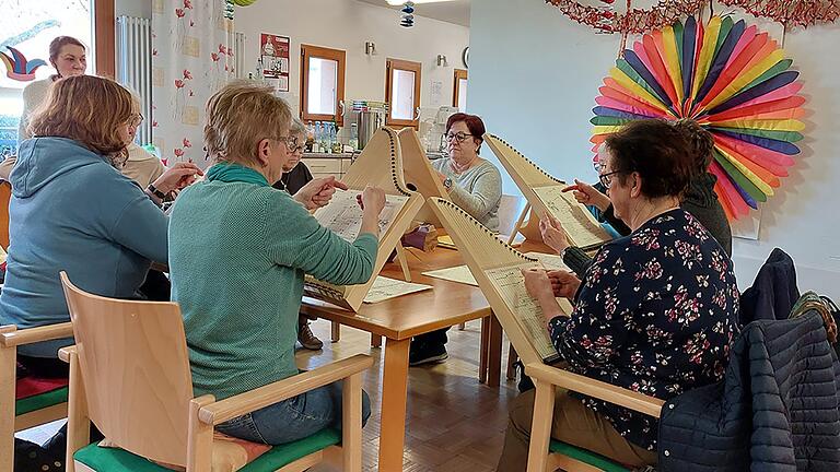 Teilnehmerinnen des Veeh-Harfen-Kurses aus der Musikschule Rottendorf.