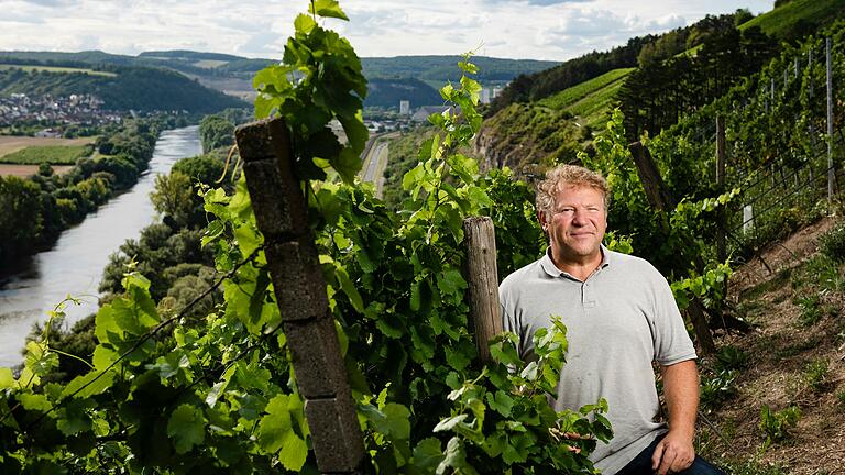Ludwig Knoll vom Weingut am Stein in Würzburg: Er steckt Piwis in viele seiner Cuvées. Ludwig Knoll vom Weingut am Stein in Würzburg: Er steckt Piwis in viele seiner Cuvées.