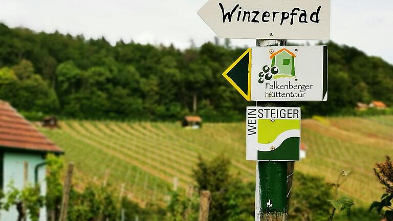 Auf der Falkenberger Hüttentour kommen Wanderer auf ihre Kosten. Die verschiedenen Strecken führen durch die Weinberge. Sie sind eines der vielen regionalen Highlights.